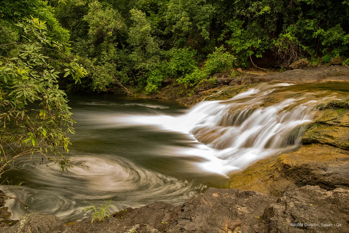 Scenic forest waterfall and fresh perennial creek in Gir National Park